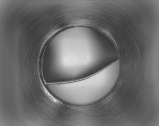 X0000052590995200507010935