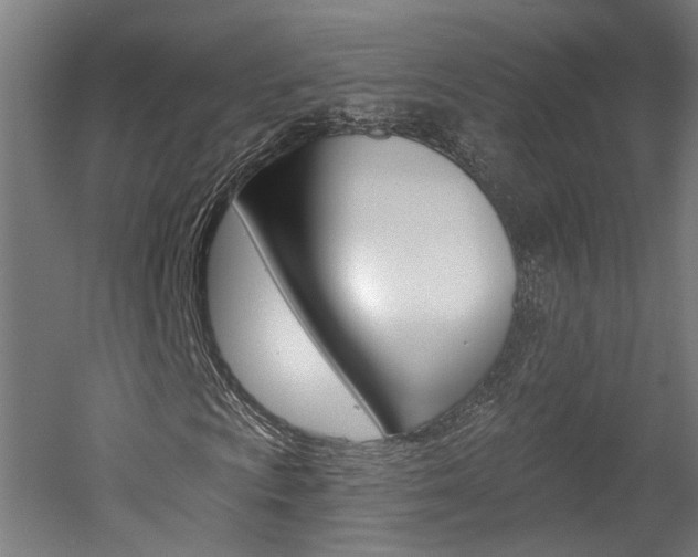 X0000052591009200507010934