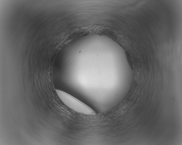 X0000052591010200507010934