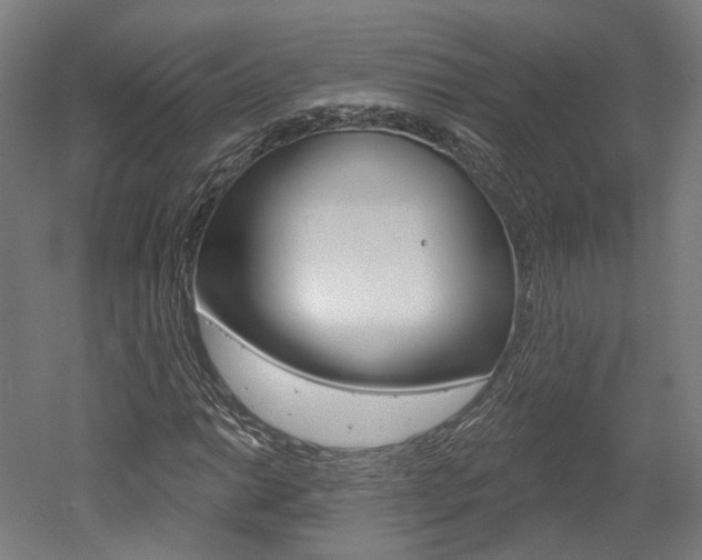 X0000052591014200507010934