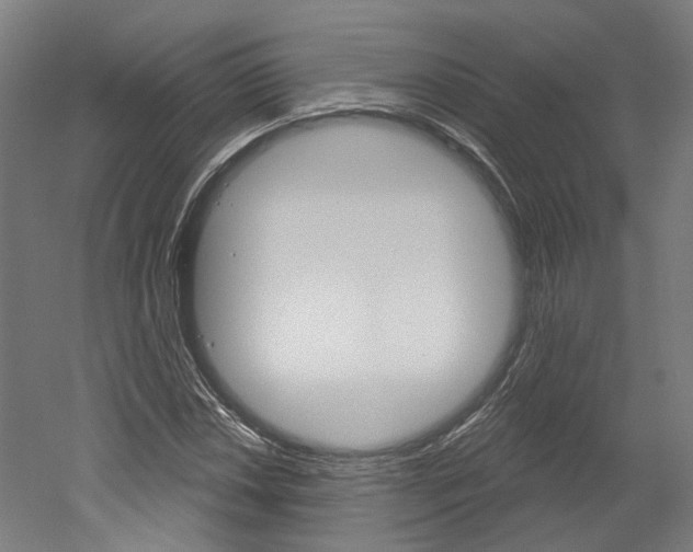 X0000052591018200507010934