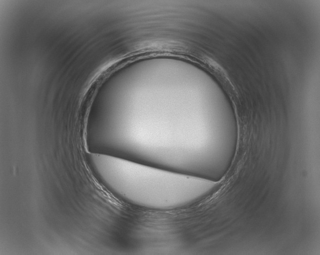 X0000052591019200507010934