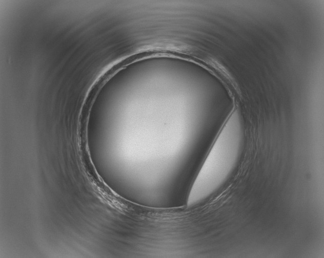 X0000052591020200507010934