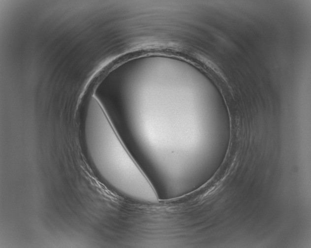 X0000052591021200507010934
