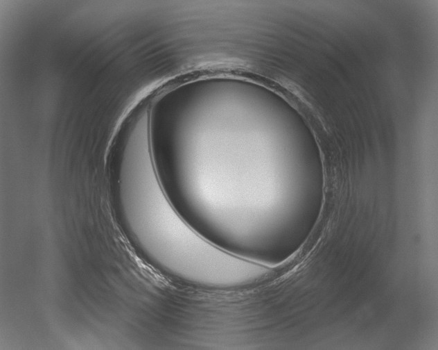 X0000052591022200507010934