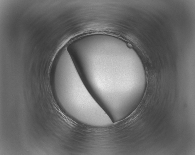 X0000052591023200507010934
