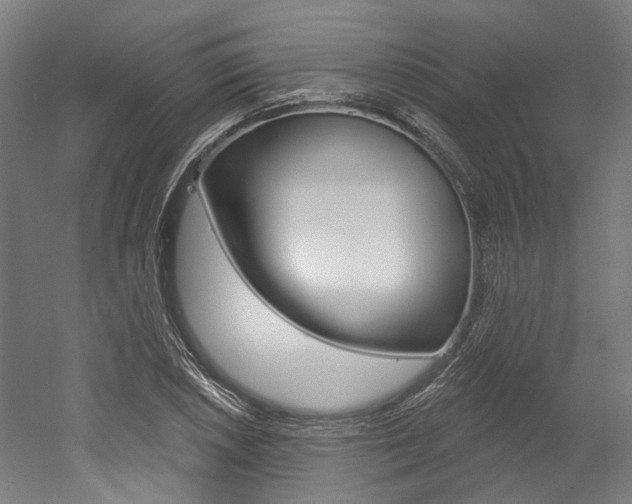 X0000052591026200507010934