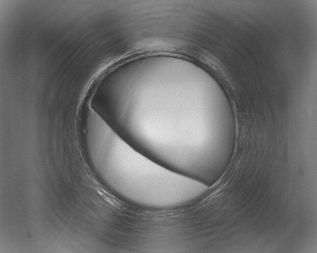 X0000052591027200507010934