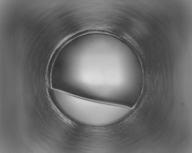 X0000052591028200507010934