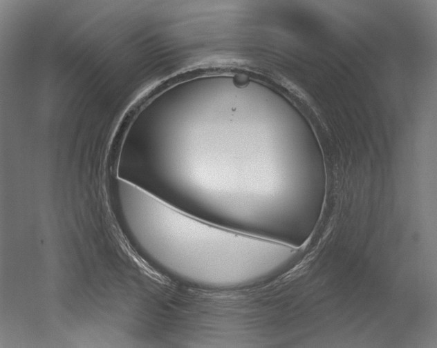 X0000052591029200507010934