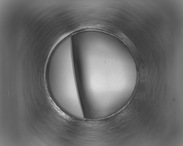 X0000052591036200507010934