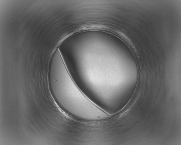 X0000052591041200507010934