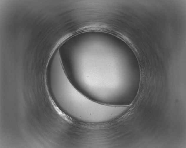 X0000052591042200507010934