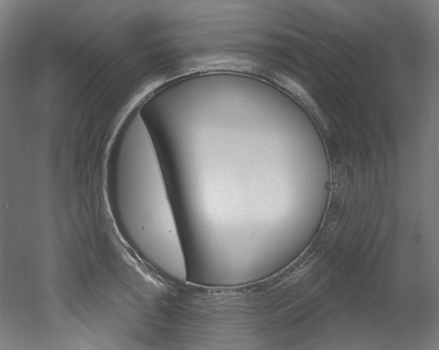 X0000052591043200507010934