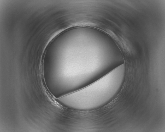 X0000052591044200507010934