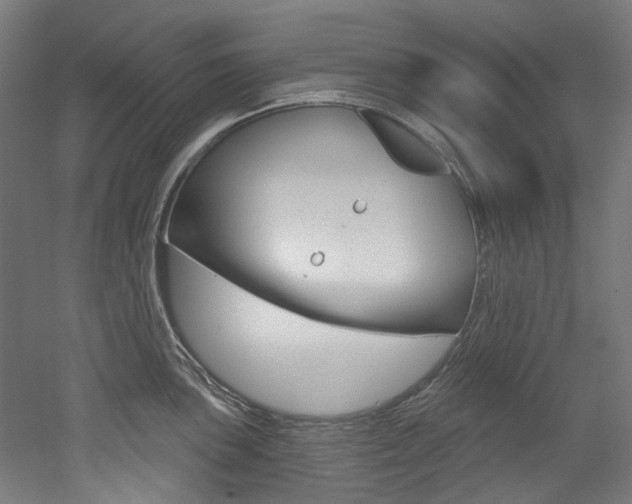 X0000052591051200507010934