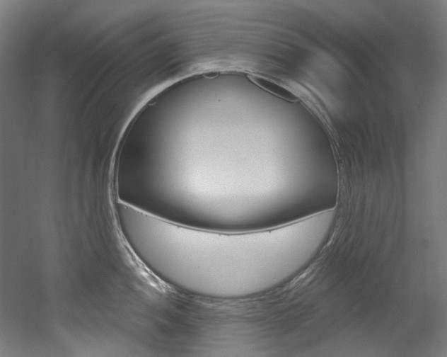 X0000052591052200507010934
