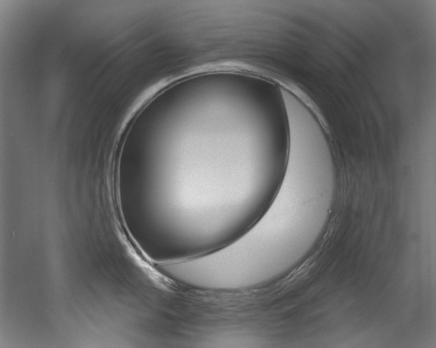 X0000052591054200507010934