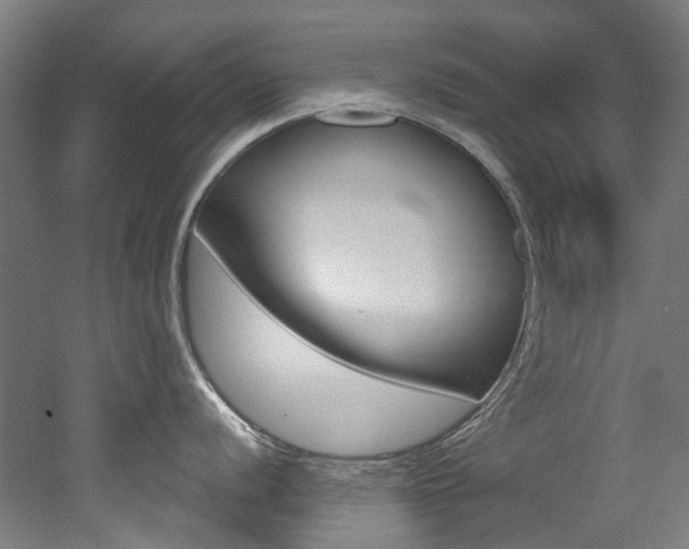 X0000052591056200507010934