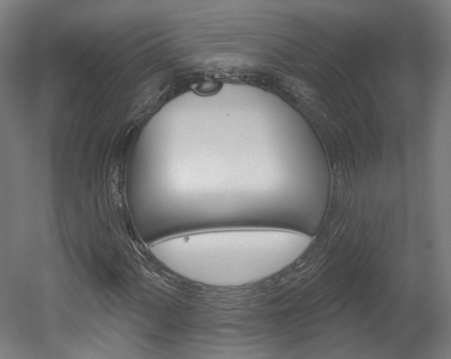 X0000052591060200507010934