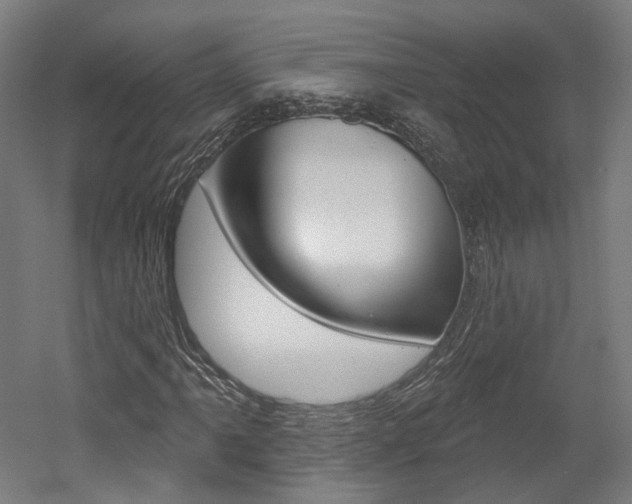 X0000052591061200507010934