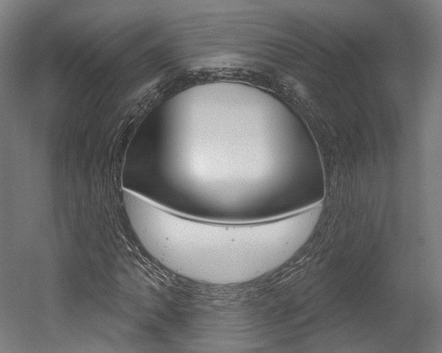 X0000052591062200507010933
