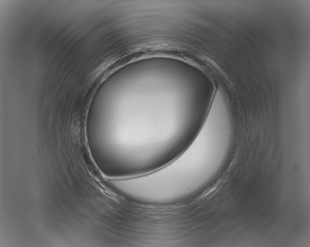 X0000052591065200507010933