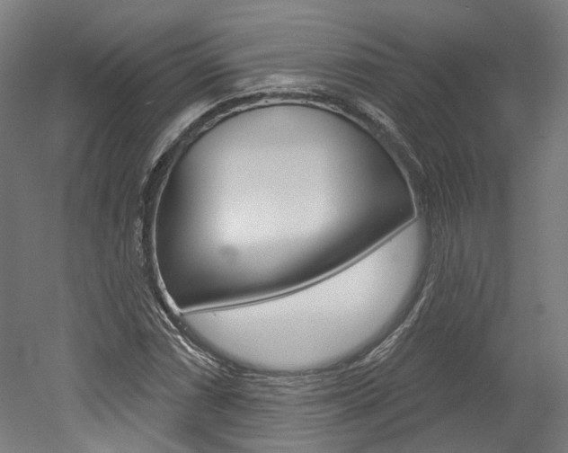 X0000052591066200507010933