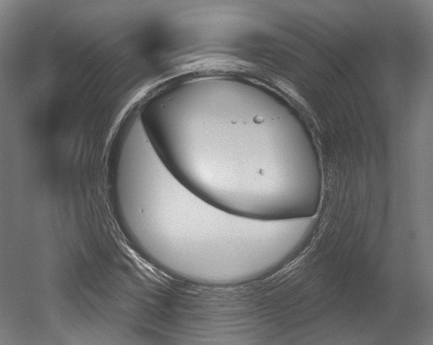 X0000052591067200507010933