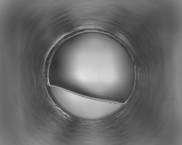 X0000052591068200507010933