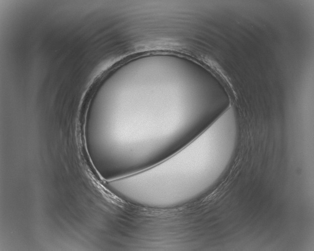 X0000052591072200507010933