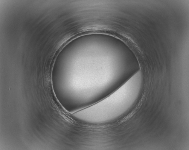 X0000052591073200507010933