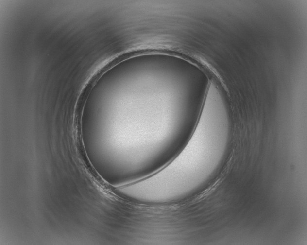 X0000052591077200507010933