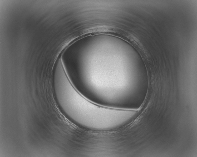 X0000052591081200507010933