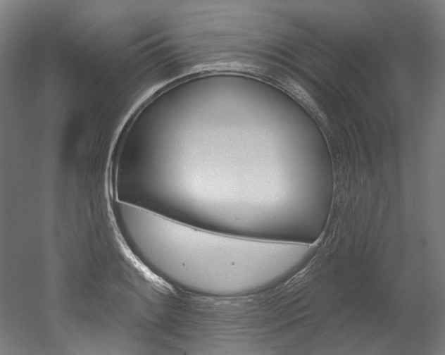 X0000052591084200507010933