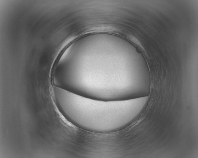X0000052591087200507010933
