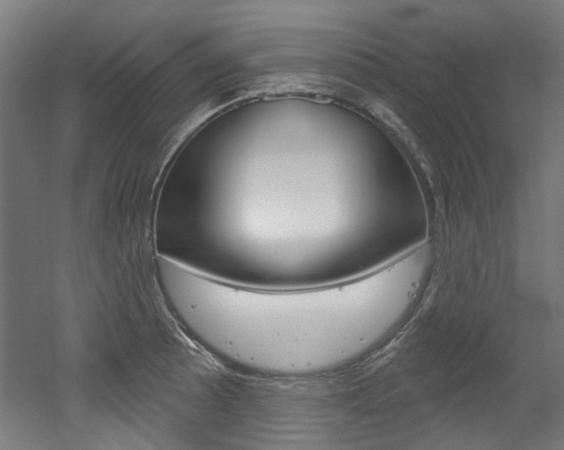 X0000052591089200507010933