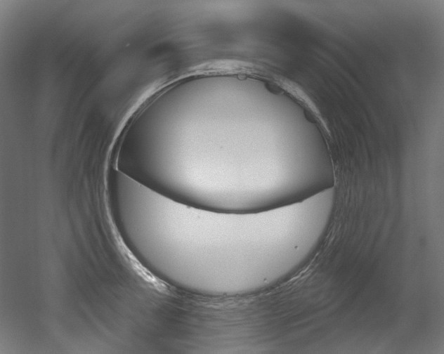 X0000052591091200507010933