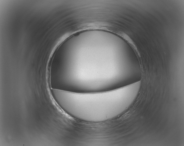 X0000052591096200507010933