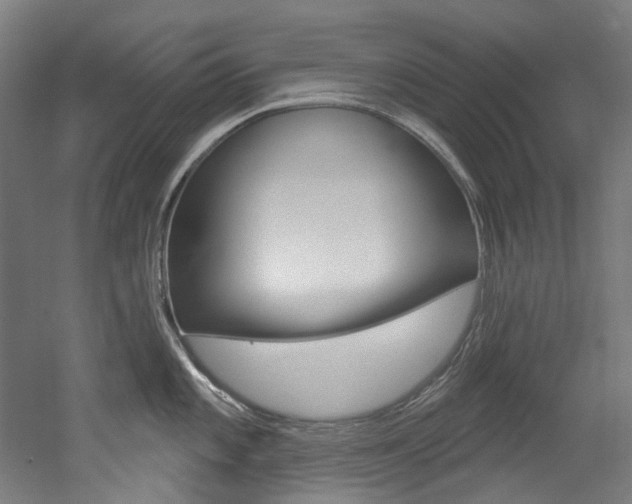 X0000052591101200507010933
