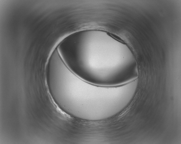 X0000052591102200507010933