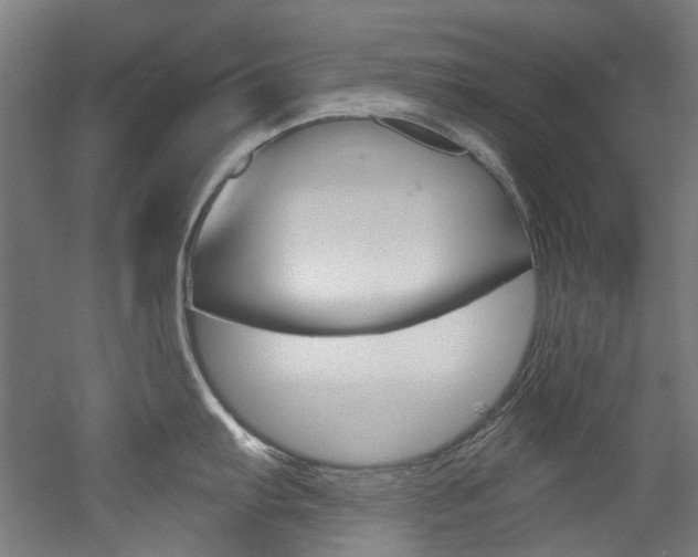 X0000052591103200507010933