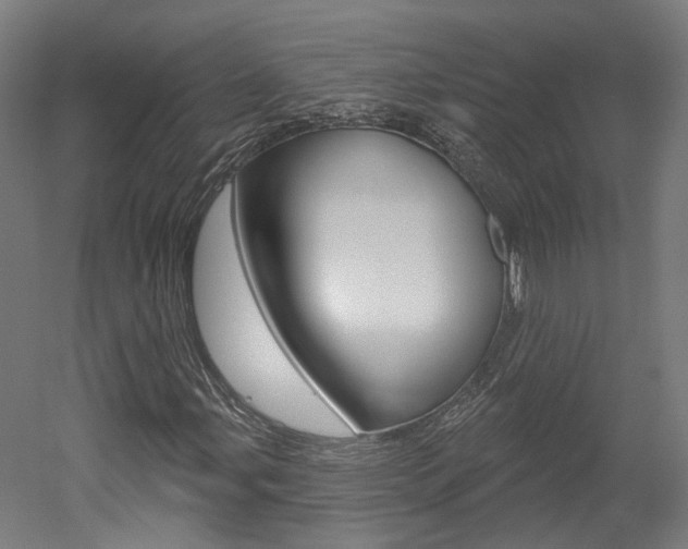 X0000052591107200507010932