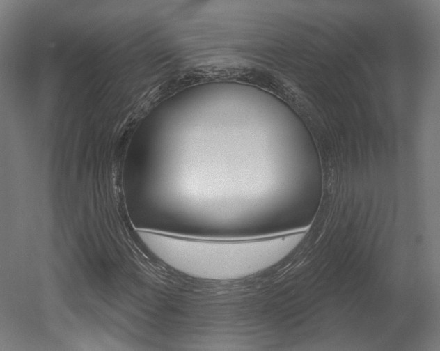 X0000052591108200507010932