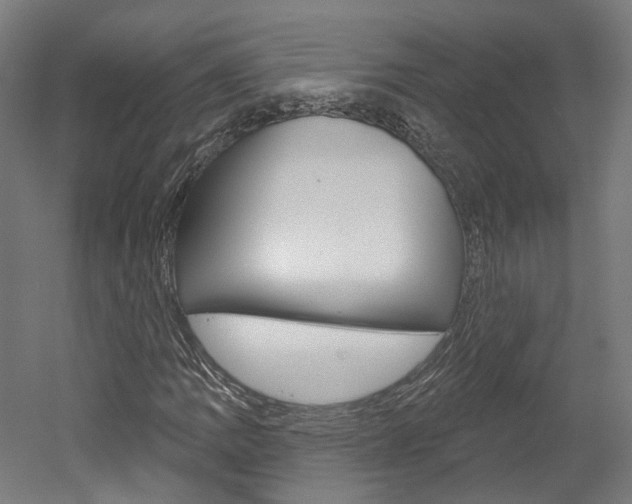 X0000052591109200507010932