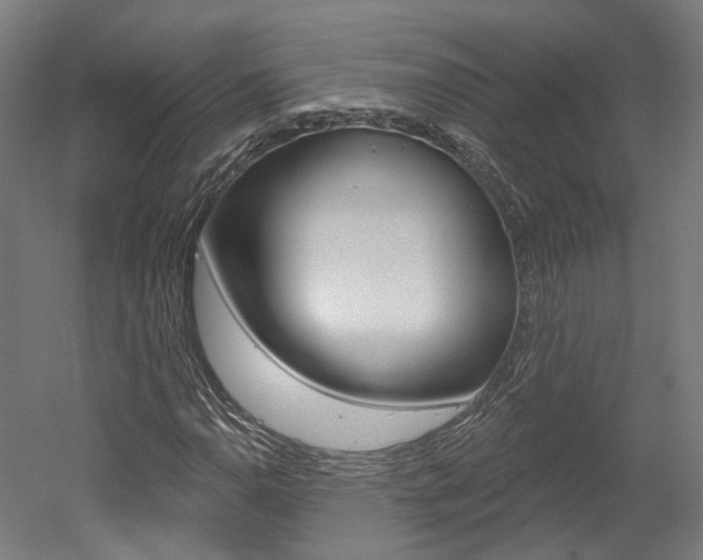 X0000052591110200507010932