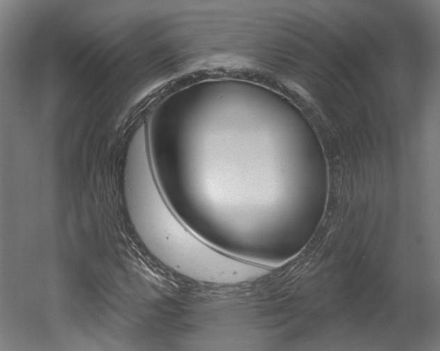 X0000052591112200507010932