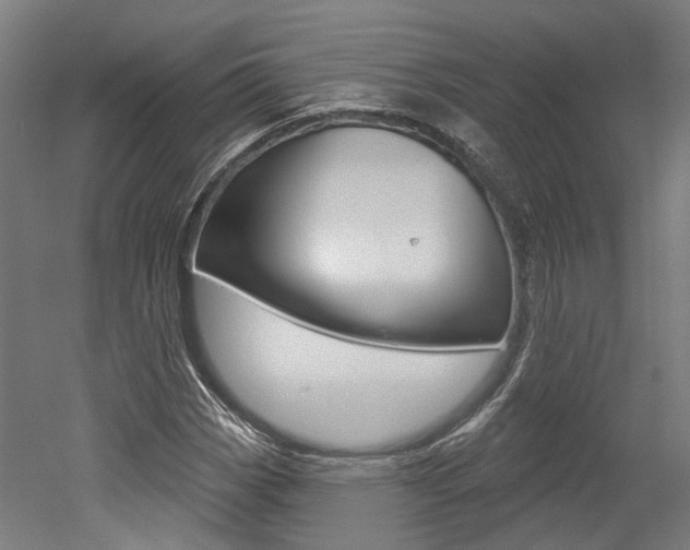 X0000052591113200507010932