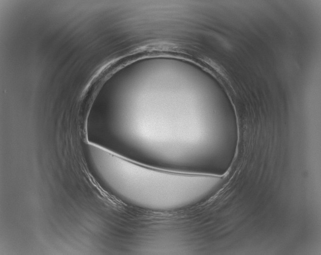 X0000052591115200507010932
