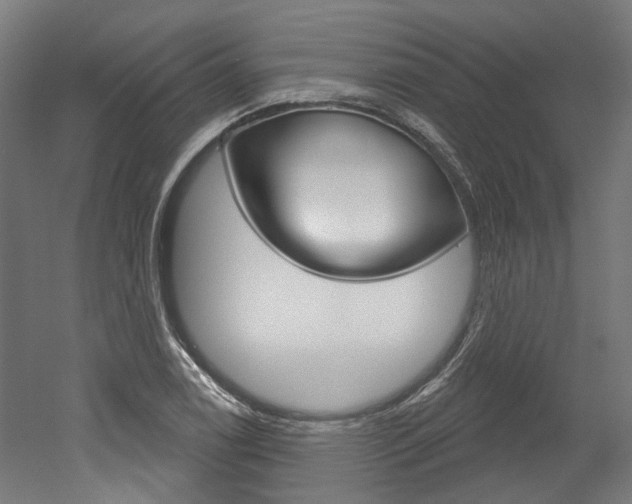 X0000052591122200507010932